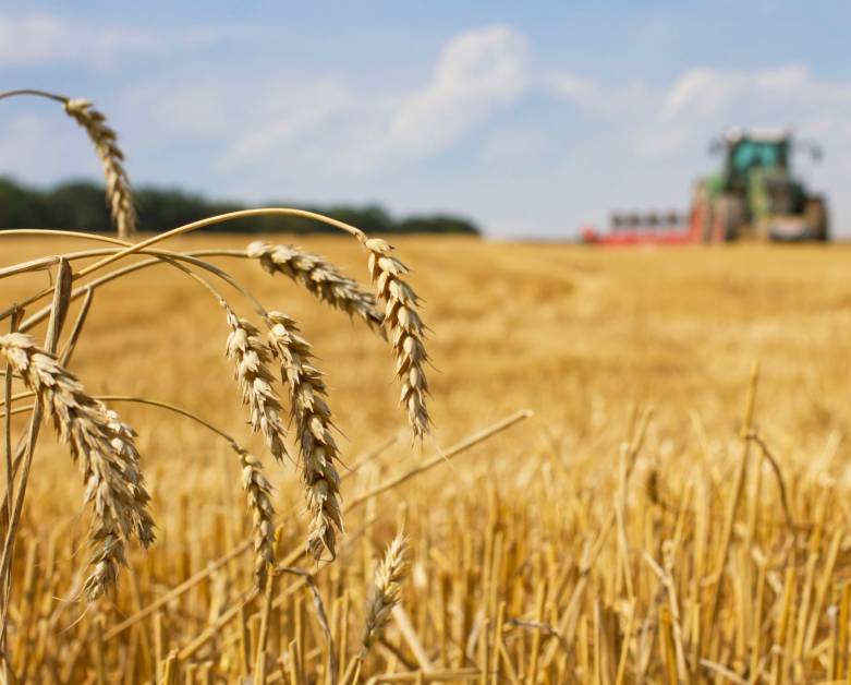 VYHLÁŠENO 6. KOLO PROJEKTOVÝCH INTERVENCÍ ZE SZP 2023 - 2027