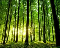 VYHL&Aacute;&Scaron;ENO 7. KOLO PROJEKTOV&Yacute;CH INTERVENC&Iacute; ZE SZP 2023-2027