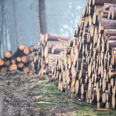 PŘÍJEM ŽÁDOSTÍ DO 15. KOLA PRV