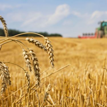 VYHLÁŠENO 6. KOLO PROJEKTOVÝCH INTERVENCÍ ZE SZP 2023 - 2027